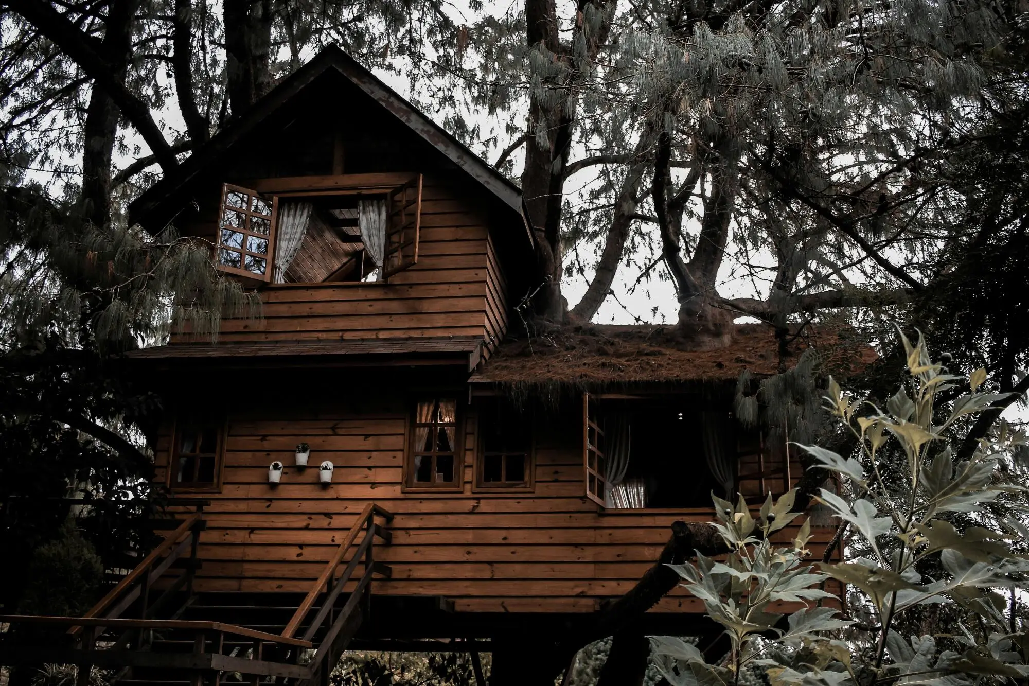 Houses for Rent: Your Ultimate Guide to Finding the Perfect Rental